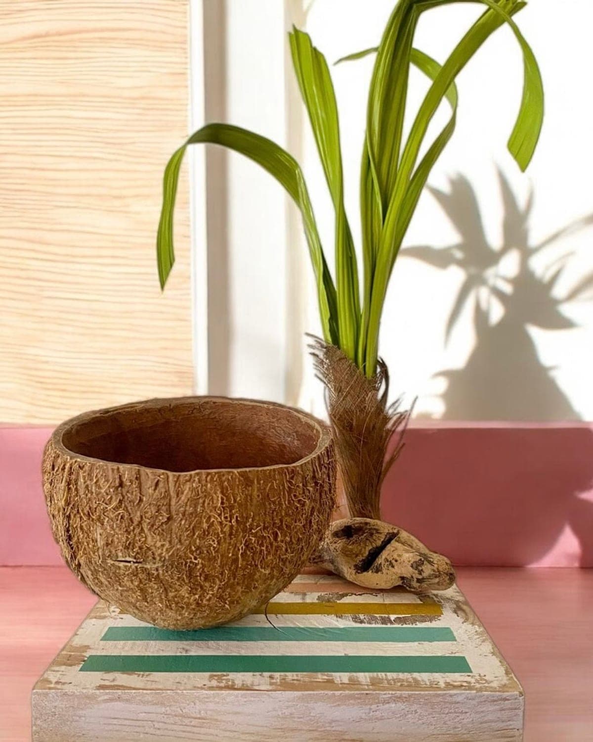 Bol en coque de coco façonné par Gueule de Bois, posé sur un socle bois peint